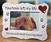 BANBERRY DESIGNS Pet Memorial Picture Frame - You Have Left My Life But You Will Never Leave My Heart - Loss of a Pet - Sympathy Gift - Ceramic - Holds a 6