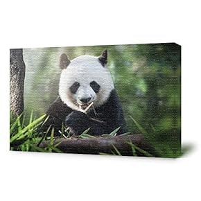 Canvas Wall Art for Living Room,Bedroom Home Artwork Paintings Cute Panda Ready to Hang - 12x18 inches