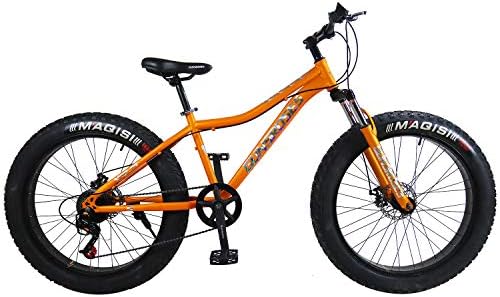 saigula fat tire bicycle