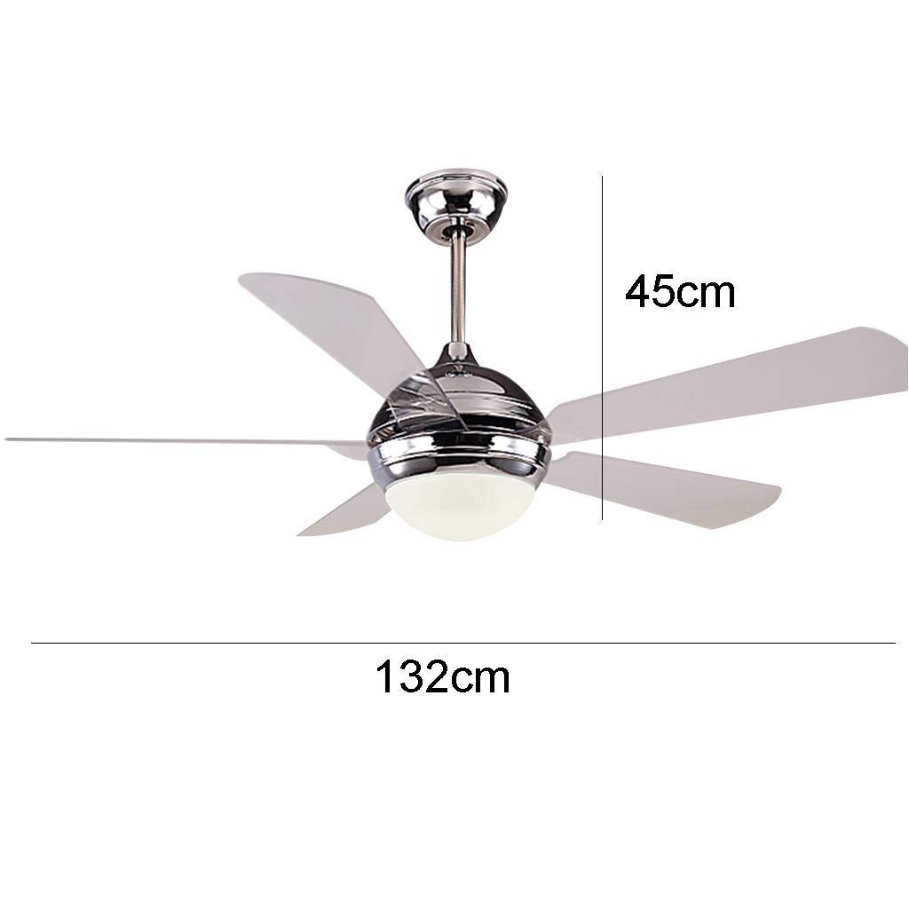 Specialty Decorative Lighting Ceiling Fan For Home Ceiling Fans