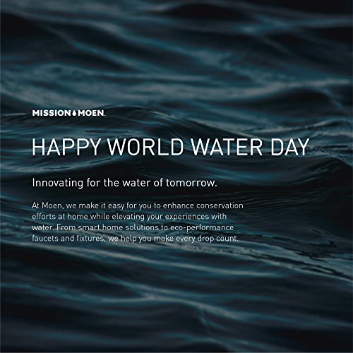 Moen EcoPerformance Chrome 4Spray Pattern Handheld Showerhead with 69