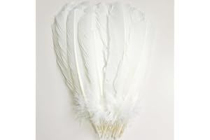 XKTEI 24Pcs White Turkey Feathers 10~12in Long,Beautiful Feather for Crafts 26-31cm,Bulk Big Size Bilateral Natural Feather,for Wedding Dress and Party Decoration,DIY Fabricating Handicraft Article (White)