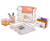 PAG Rose Gold Office Supplies 5 in 1 Desk Organizer Set - Hanging File Organizer, File Tray, Letter Sorter, Pencil Holder and Sticky Note Holder