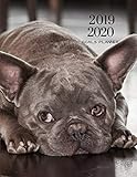 2019 2020 French Bulldog 15 Months Daily Planner: Academic Hourly Organizer In 15 Minute Interval; Appointment Calendar With Address Book & Note Section; Monthly & Weekly Goals Journal With Quotes by ZenWerkz
