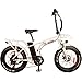 DJ Folding Bike 750W 48V 13Ah Power Electric Bicycle, UL 2849, Pearl White, LED Bike Light, Suspension Fork and Shimano Gear,thumb 1