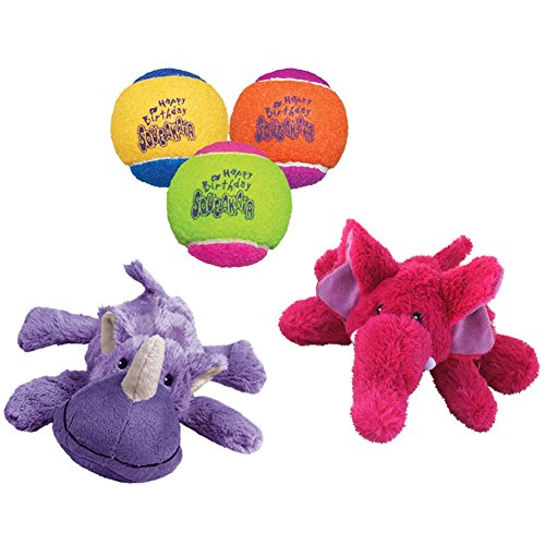 kong dog toy variety