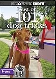 Best of 101 Dog Tricks