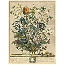 51oPr6utylL._AC_UL210_SR210,