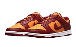 Nike Men's Dunk Low Retro Basketball