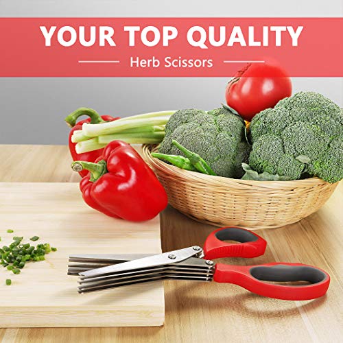 Herb Scissors, Kitchen Shears, Besiva 5 Blades Stainless Steel Multipurpose Vegetable Scissors with Cleaning Brush, Ideal for Snipping Herbs, Office Shredding Paper, Art Handmade Papercut,qwe4 - Thumbnail 4