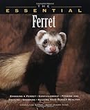 The Essential Ferret (Essential (Howell)) by Betsy Sikora Siino