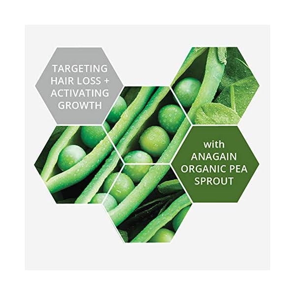 ProAccelerant-3-Treatment-for-Hair-Loss-with-Anagain-Organic-Pea-Sprout-and-Caffeine-2x-150ml ProAccelerant™ 3 - Treatment for Hair Loss with Anagain Organic Pea Sprout and Caffeine 2x 150ml