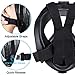 COSSCCI Snorkel Mask, Full Face Snorkeling & Swimming Mask with Adjustable Head Straps,Detachable Camera Mount, 180°Panoramic View Anti-Fog and Anti-Leak for Adult Kids (Large/Extra Large)