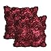 E'Plaza 2pcs New Burgundy 3D Raised Ribbon Roses Cushion Covers Throw Pillow Cases 16X16 (2, Burgundy)