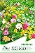 wonder4land 1 bag 200 Pcs Flowers Seeds Mixed Color Sunset Wildflowers