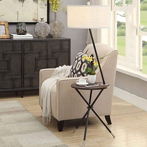 DSJ Floor Lamp Floor Lamp, Living Room Bedroom Modern Simple Table Lamp Sofa Coffee Light American Creative European Style Lights