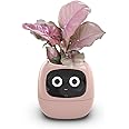 Itigoitie Smart Flowerpots,Smart Pet Planter,Ai Planter,Intelligent Flowerpots,Multiple Expressions,7 Smart Sensors, and Ai Chips Make Raising Plants Easy and Fun for Living Room,Plant-Free(Pink)