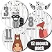 Woodland Monthly Milestone Sticker Pack for Baby Boy & Girl Stickers for Newborn, 0-12 Months Photo Picture Props for Infant Onesie, Unisex Registry Shower Gift & Scrapbook Photo Memory Keepsake