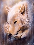 Dreamscape Wolf