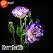 Loss Promotion!Purple Eustoma Seeds Perennial Flowering Plants Potted Flowers Seeds Lisianthus Multicolor,100 /Package,#1P919O