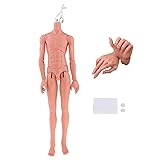 Prettyia 1/3 BJD Doll Male Nude Body Parts