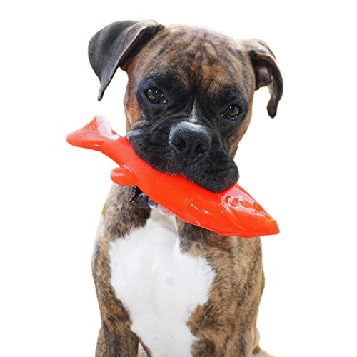 Ruff Dawg Flying Fish Floating Dog Toy Assorted Neon Colors