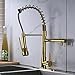 Rozin LED Light Pull Down Spray Kitchen Mixer Tap Single Hole Swivel Spout Sink Faucet with 8 Inch Holes Deck Plate Gold Polished