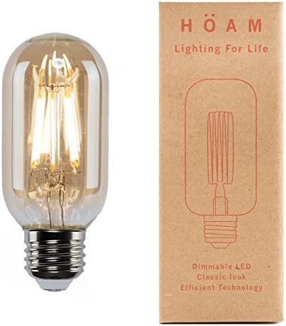 Edison Bulb from HOAM Lighting, Dimmable LED Filament, Antique Style, 6W LED Equal to 60W Incandescent, 2700K Warm White Color, T14 T45, E26 E27 Screw Cap, 110V 120V