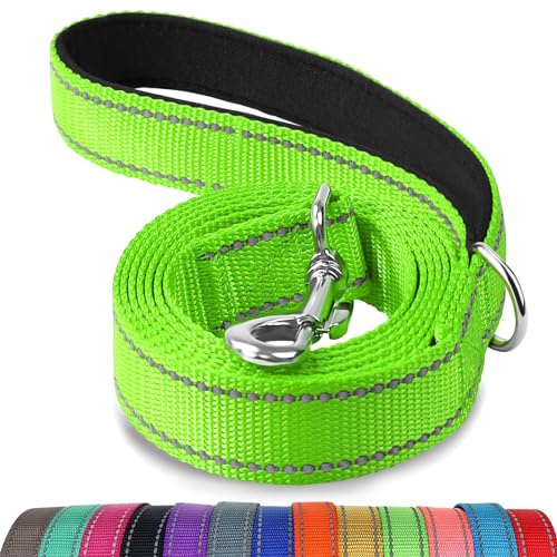 Joytale Reflective Dog Leash