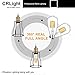 CRLight 10W LED Edison Bulb 2700K Warm White 1000LM, 100W Incandescent Equivalent E26 Medium Base, ST64 Vintage LED Filament Bulbs, 360 Degrees Beam Angle, Non-dimmable, Pack of 3