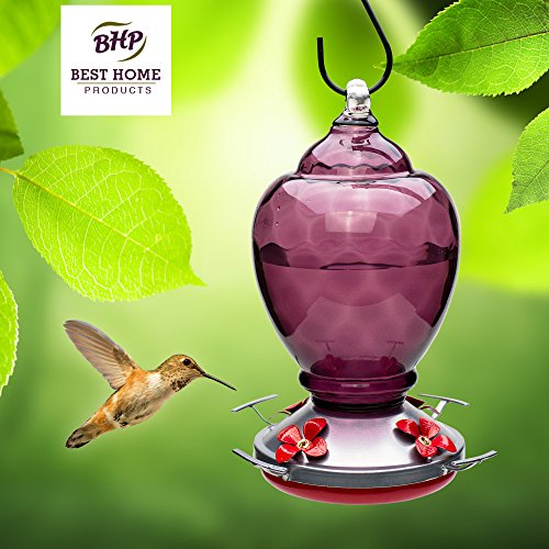 Best Home Products Hummingbird Feeder Glass 28 Ounces Almond