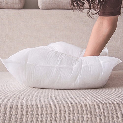Rohi Set of 2 Hypoallergenic Cushion Pad Stuffer Pillow Insert Sham