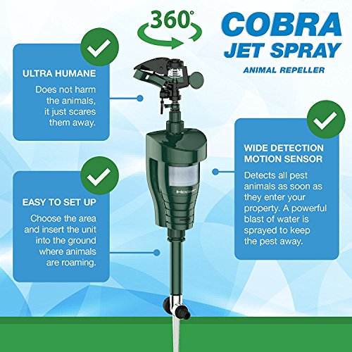 Hoont Cobra Powerful Outdoor Water Jet Blaster Animal Pest Repeller, Motion Activated, Expels Cats, Dogs, Squirrels, Birds, Deer, Etc. Out of Your Property (Upgraded Version)