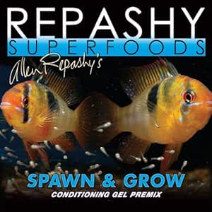 repashy betta food