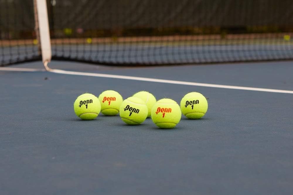Penn Championship Tennis Balls - Extra Duty Felt Pressurized Tennis Balls - (2 Cans, 6 Balls) : Sports & Outdoors