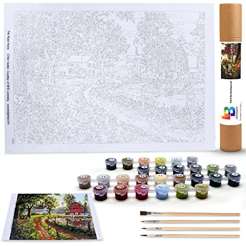 Paint by Number for Adults Beginner to Advanced Number Painting Kit Fun DIY Adult Arts and