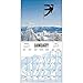 Snowboarding Wall Calendar