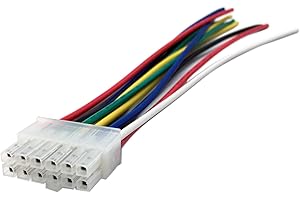 Aokus Dual 12 PIN Power Plug Wire Harness for XDM17BT, XDM290BT