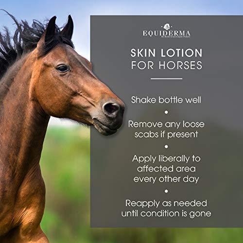 EQUIDERMA Horse Skin Lotion for Rain Rot Pricepulse