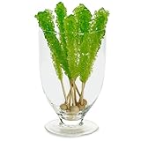 Green Apple Rock Candy Sticks (8)
