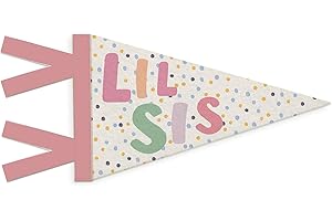 SJDFCSA Girls Room Decor, Lil Sister Wall Hanging Pennant Flag Banner, Boho Colorful Spot Wall Decorations for Twins Baby Little Girls Bedroom Playroom Nursery Decor