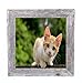 BarnwoodUSA Standard 10 by 10 Inch Picture Frame Reclaimed Wood