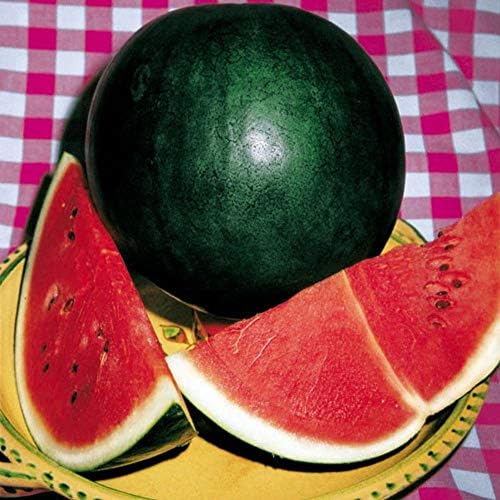 Anguria Sugar Baby Watermelon Seeds