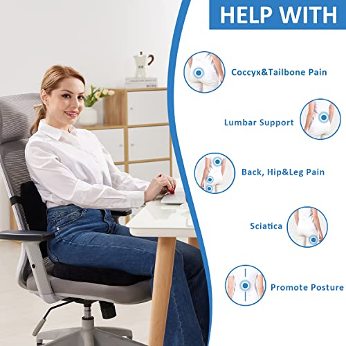 SAIREIDER Seat Cushion and Lumbar Support Pillow for Office Chair