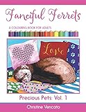Fanciful Ferrets: A Colouring Book For Adults (Precious Pets) by Christine Vencato