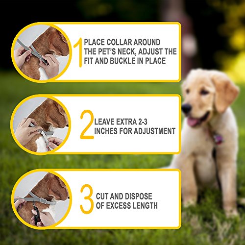 ONMOG Dogs Flea and Tick Prevention - Best Pests Control Collar for Dogs - Easy Adjustable and Water Resistance Collar - Ultra Safe for Pets and Pet's Owners with Natural Essential Oils - Thumbnail 3