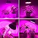 80W Led Grow Light Bulb, Plant Light Bulbs Full Spectrum for Indoor Plants Hydroponics Vegetables and Seedlings, Grow Bulb for Flowers Tobacco Garden Greenhouse and Organic Soil (E26 120LEDs)