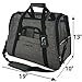 Mr. Peanut's Airline Approved Soft Sided Pet Carrier by, Two-Tone Luxury Travel Tote with Fleece Bedding, New Design, Under Seat Compatibility, Perfect for Cats and Small Dogs (Raspberry Red)