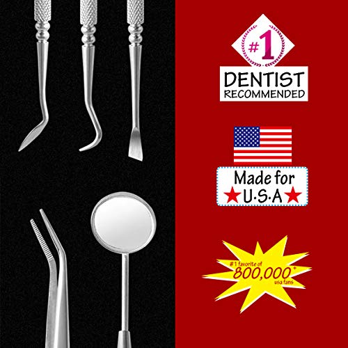 Dental Tools Cbiumpro 6 Pack Teeth Cleaning Tools Professional Dental Hygiene Kit Plaque Scraper Tartar Remover Dental Pick Mouth Mirror for Dentist, Adults, Kids, Pet Dogs With Leather Carrying Case - Thumbnail 2
