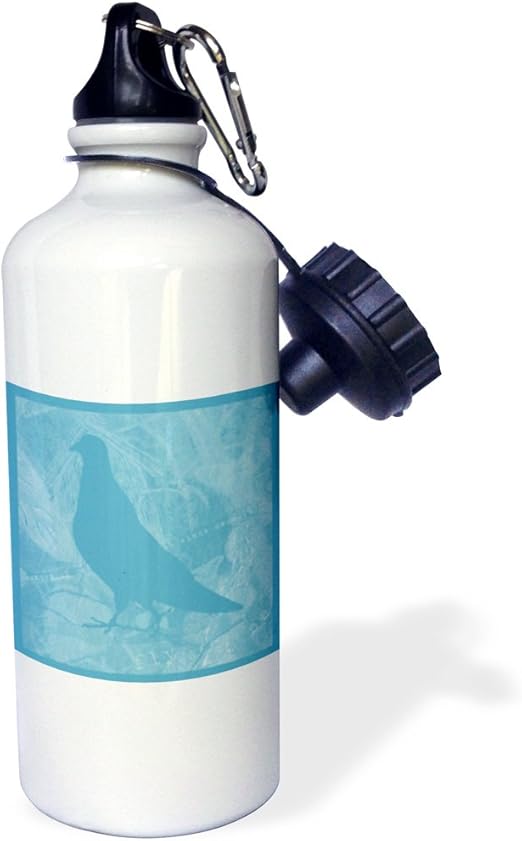 pigeon aqua stainless steel water bottle